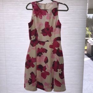 Perfect for spring, polo, the Kentucky derby